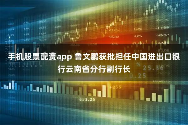 手机股票配资app 鲁文鹏获批担任中国进出口银行云南省分行副行长