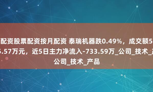 配资股票配资按月配资 泰瑞机器跌0.49%，成交额5025.57万元，近5日主力净流入-733.59万_公司_技术_产品
